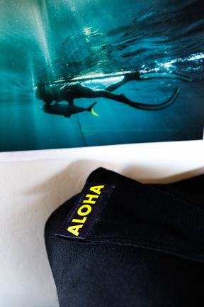 LIMITED EDITION ALOHA TRIFECTA BLANKET * FREE XL CAMP PILLOW