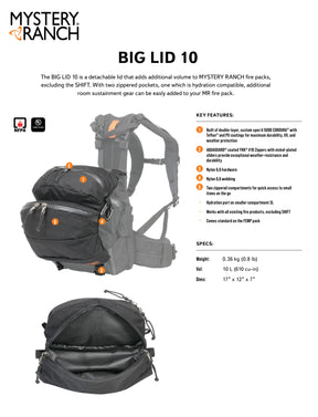 Big Lid 10